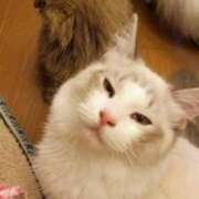 ヒメ日記 2026/02/23 10:39 投稿 戸根 MadameRest(マダムレスト)