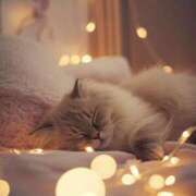 ヒメ日記 2026/02/25 00:33 投稿 戸根 MadameRest(マダムレスト)