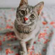 ヒメ日記 2026/02/26 11:27 投稿 戸根 MadameRest(マダムレスト)