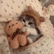 ヒメ日記 2026/03/13 00:51 投稿 戸根 MadameRest(マダムレスト)