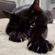 ヒメ日記 2026/03/16 11:38 投稿 戸根 MadameRest(マダムレスト)