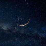 ヒメ日記 2026/03/30 01:30 投稿 戸根 MadameRest(マダムレスト)