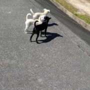 ヒメ日記 2026/03/31 12:28 投稿 戸根 MadameRest(マダムレスト)