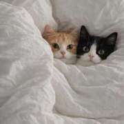 ヒメ日記 2026/04/01 01:17 投稿 戸根 MadameRest(マダムレスト)