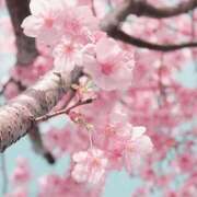 ヒメ日記 2026/04/01 10:41 投稿 戸根 MadameRest(マダムレスト)