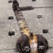 ヒメ日記 2026/04/06 11:45 投稿 戸根 MadameRest(マダムレスト)