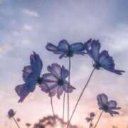 ヒメ日記 2026/04/07 00:54 投稿 戸根 MadameRest(マダムレスト)