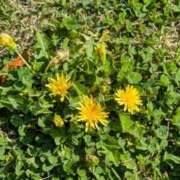 ヒメ日記 2026/04/11 15:34 投稿 戸根 MadameRest(マダムレスト)