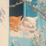 ヒメ日記 2026/04/14 10:53 投稿 戸根 MadameRest(マダムレスト)