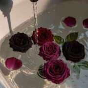 ヒメ日記 2026/04/15 23:15 投稿 戸根 MadameRest(マダムレスト)