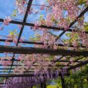 ヒメ日記 2026/04/23 17:01 投稿 戸根 MadameRest(マダムレスト)