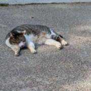 ヒメ日記 2026/04/24 21:13 投稿 戸根 MadameRest(マダムレスト)