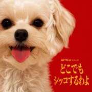 ヒメ日記 2026/06/03 16:42 投稿 戸根 MadameRest(マダムレスト)