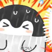 ヒメ日記 2026/06/06 10:52 投稿 戸根 MadameRest(マダムレスト)