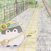 ヒメ日記 2026/07/09 00:54 投稿 戸根 MadameRest(マダムレスト)