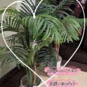 ヒメ日記 2025/11/17 21:35 投稿 きらら 奥鉄オクテツ東京店（デリヘル市場）