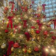 ヒメ日記 2025/11/24 09:35 投稿 きらら 奥鉄オクテツ東京店（デリヘル市場）