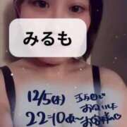 ヒメ日記 2024/12/16 02:40 投稿 みるも 五反田サンキュー