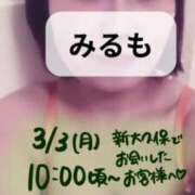 ヒメ日記 2025/04/12 01:40 投稿 みるも 五反田サンキュー