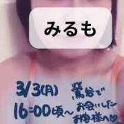 ヒメ日記 2025/04/12 01:47 投稿 みるも 五反田サンキュー