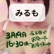 ヒメ日記 2025/05/12 00:20 投稿 みるも 五反田サンキュー