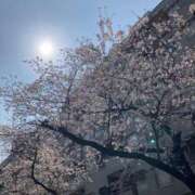 ヒメ日記 2026/04/02 13:57 投稿 向島りく 西川口風俗ド淫乱ンド