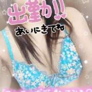 ヒメ日記 2026/04/08 15:42 投稿 向島りく 西川口風俗ド淫乱ンド