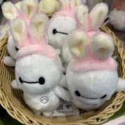 ヒメ日記 2025/06/14 08:45 投稿 すみれ New Sky