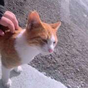 ヒメ日記 2026/03/17 22:45 投稿 みお 茨城水戸ちゃんこ