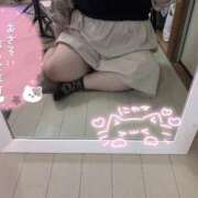 ヒメ日記 2026/04/10 18:11 投稿 みお 茨城水戸ちゃんこ