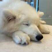 ヒメ日記 2025/05/15 00:02 投稿 まりの 深海魚