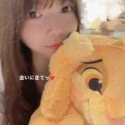 ヒメ日記 2025/08/28 10:24 投稿 まりの 深海魚