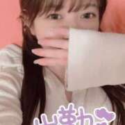 ヒメ日記 2025/11/06 13:55 投稿 まりの 深海魚