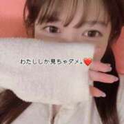 ヒメ日記 2025/11/08 21:59 投稿 まりの 深海魚