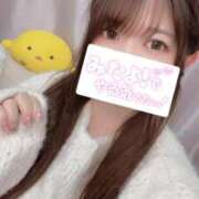 ヒメ日記 2025/12/22 17:35 投稿 まりの 深海魚