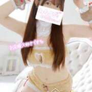 ヒメ日記 2026/02/21 12:31 投稿 まりの 深海魚