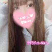 ヒメ日記 2026/03/17 14:39 投稿 まりの 深海魚