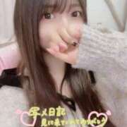 ヒメ日記 2026/04/02 01:19 投稿 まりの 深海魚