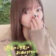 ヒメ日記 2026/04/11 16:50 投稿 まりの 深海魚