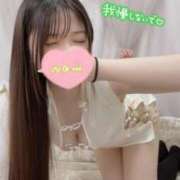 ヒメ日記 2026/04/20 14:47 投稿 まりの 深海魚