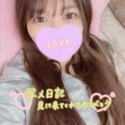 ヒメ日記 2026/04/29 12:37 投稿 まりの 深海魚