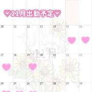 ヒメ日記 2025/11/15 08:20 投稿 もね 池袋マリン本店