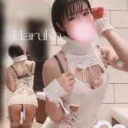 Haruka ニットの? CELEB（セレブ）