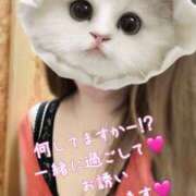 ヒメ日記 2025/03/25 16:49 投稿 ここな One More奥様　町田相模原店