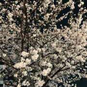 ヒメ日記 2025/03/30 20:40 投稿 ここな One More奥様　町田相模原店