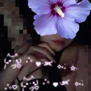 ヒメ日記 2025/05/11 13:49 投稿 ここな One More奥様　町田相模原店