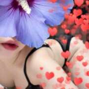 ヒメ日記 2025/05/17 16:11 投稿 ここな One More奥様　町田相模原店