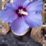 ヒメ日記 2025/05/21 11:14 投稿 ここな One More奥様　町田相模原店