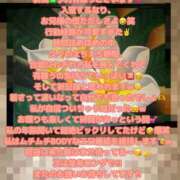 ヒメ日記 2025/05/24 09:01 投稿 ここな One More奥様　町田相模原店