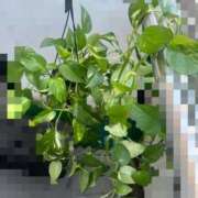 ヒメ日記 2025/06/22 22:34 投稿 ここな One More奥様　町田相模原店